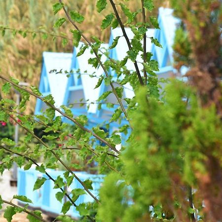 Cflow Beach Resort Byblos Экстерьер фото